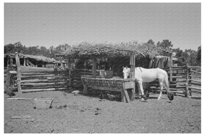 Horse Lot on Homesteader Farm Pie Town New Mexico 1940