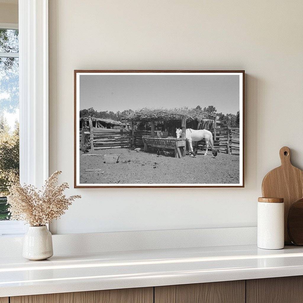 Horse Lot on Homesteader Farm Pie Town New Mexico 1940