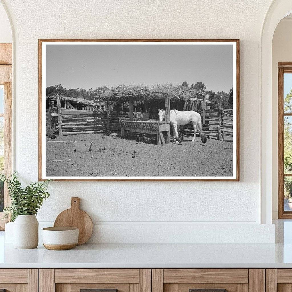 Horse Lot on Homesteader Farm Pie Town New Mexico 1940