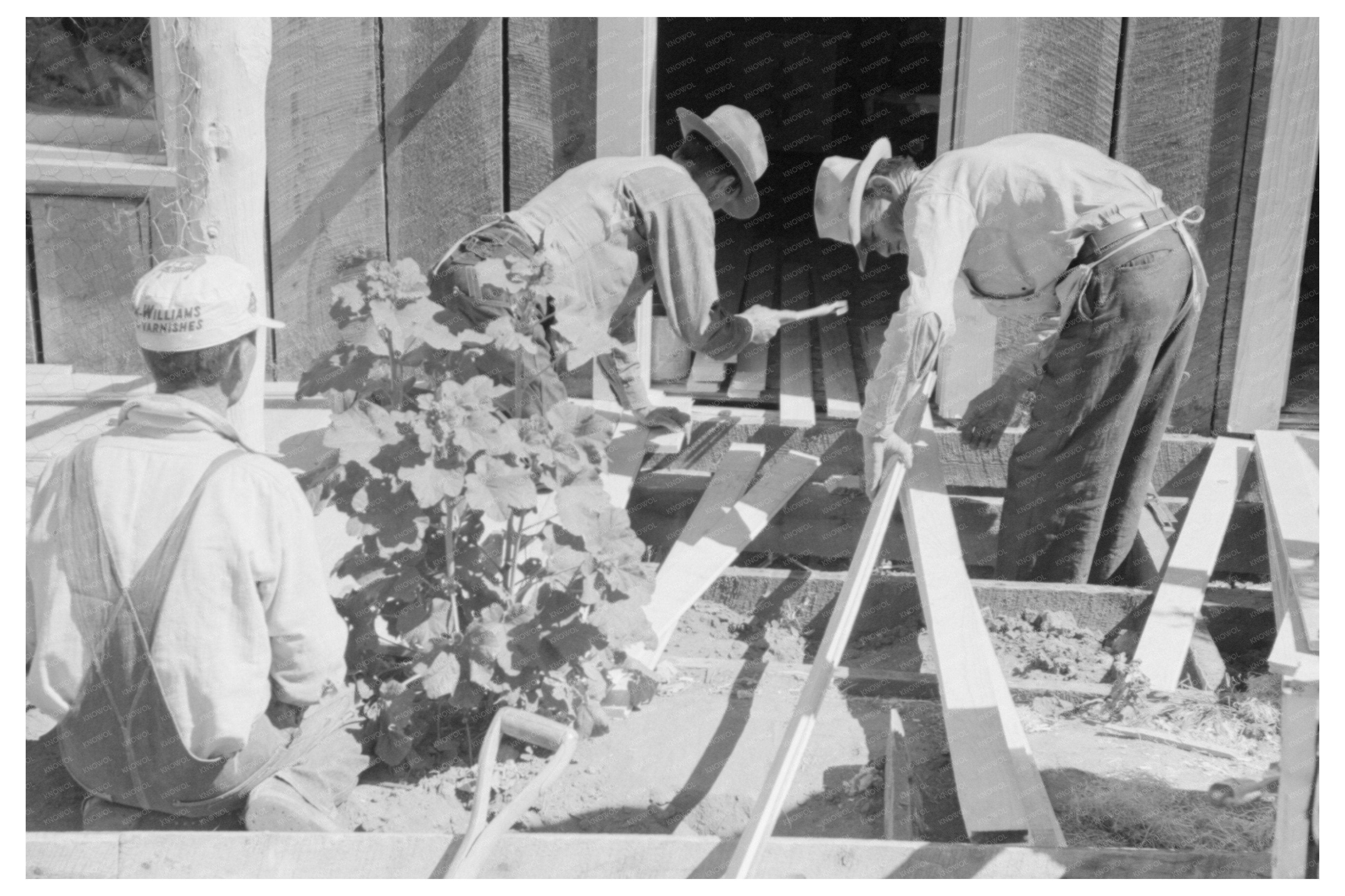 Farmers Build Porch for New House in Pie Town 1940