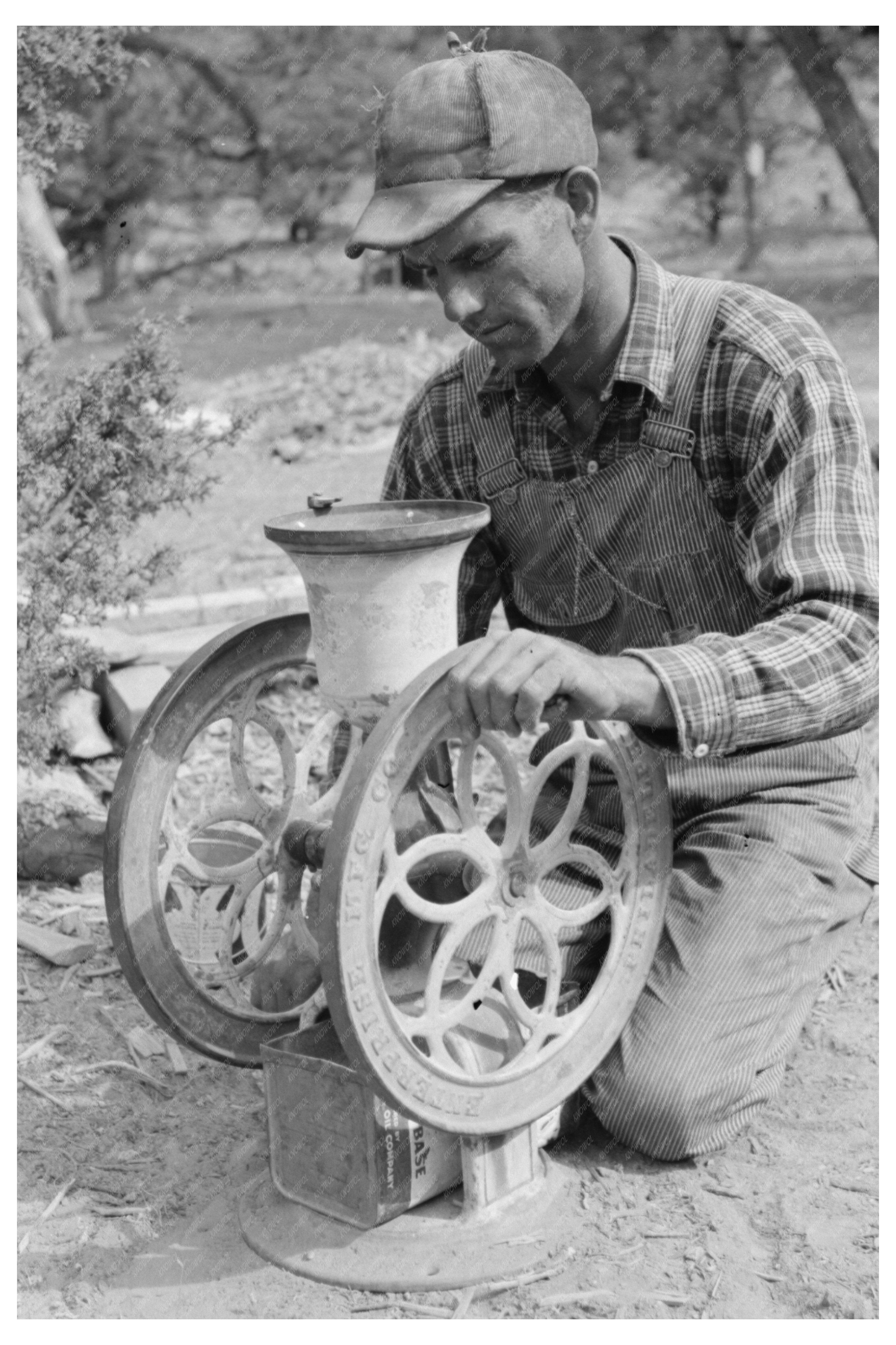 Grinding Pinto Beans for Chicken Feed in Pie Town 1940