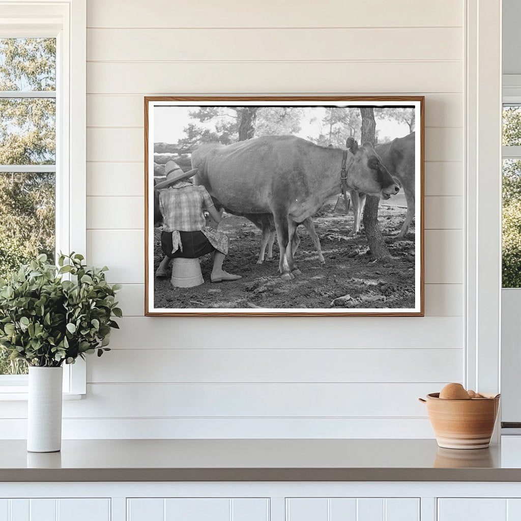 Mrs. Caudill Milking a Cow Pie Town New Mexico 1940