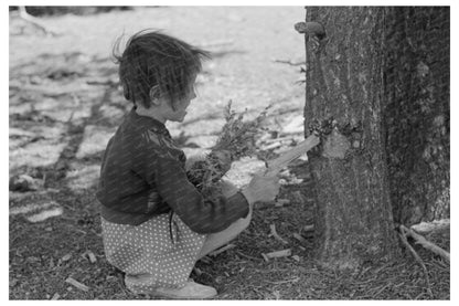 Josie Caudill Gathering Resin June 1940 Pie Town New Mexico