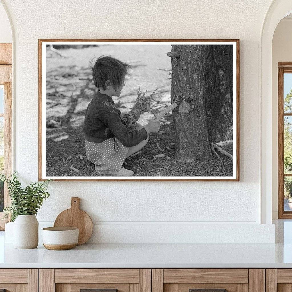 Josie Caudill Gathering Resin June 1940 Pie Town New Mexico