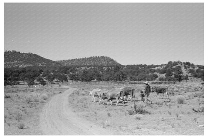 Mrs. Caudill and Daughter Driving Cattle Pie Town NM 1940