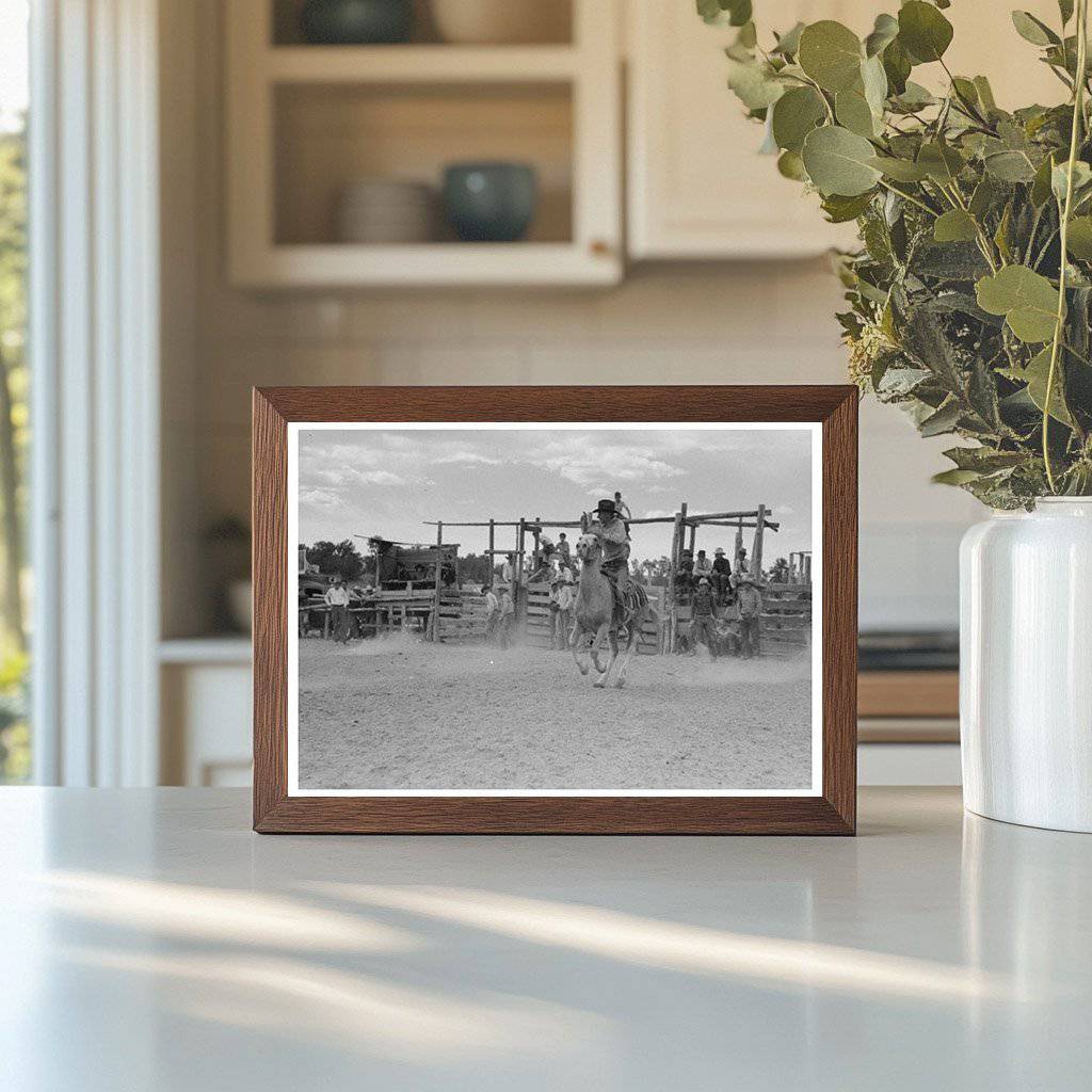 Calf Roping Rodeo Event in Quemado New Mexico 1940