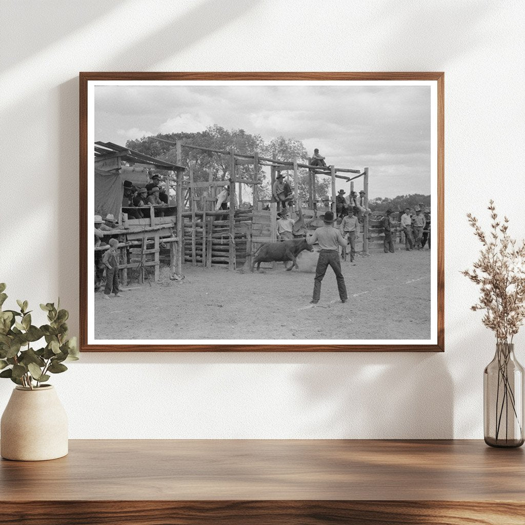 Calf Leaving Corral at Quemado Rodeo June 1940