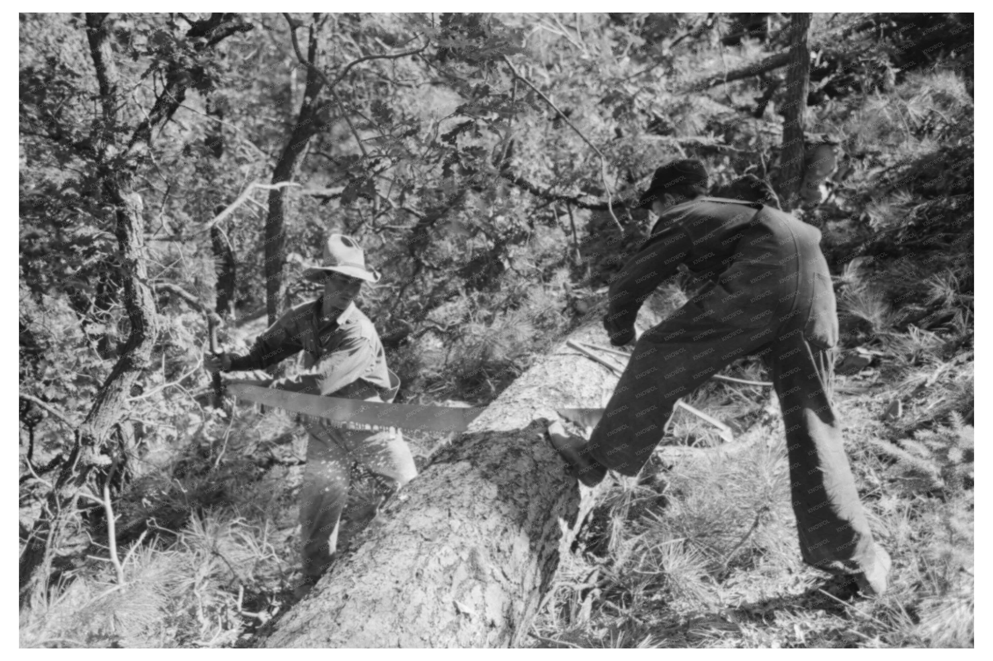 Workers Processing Timber in Pie Town New Mexico 1940