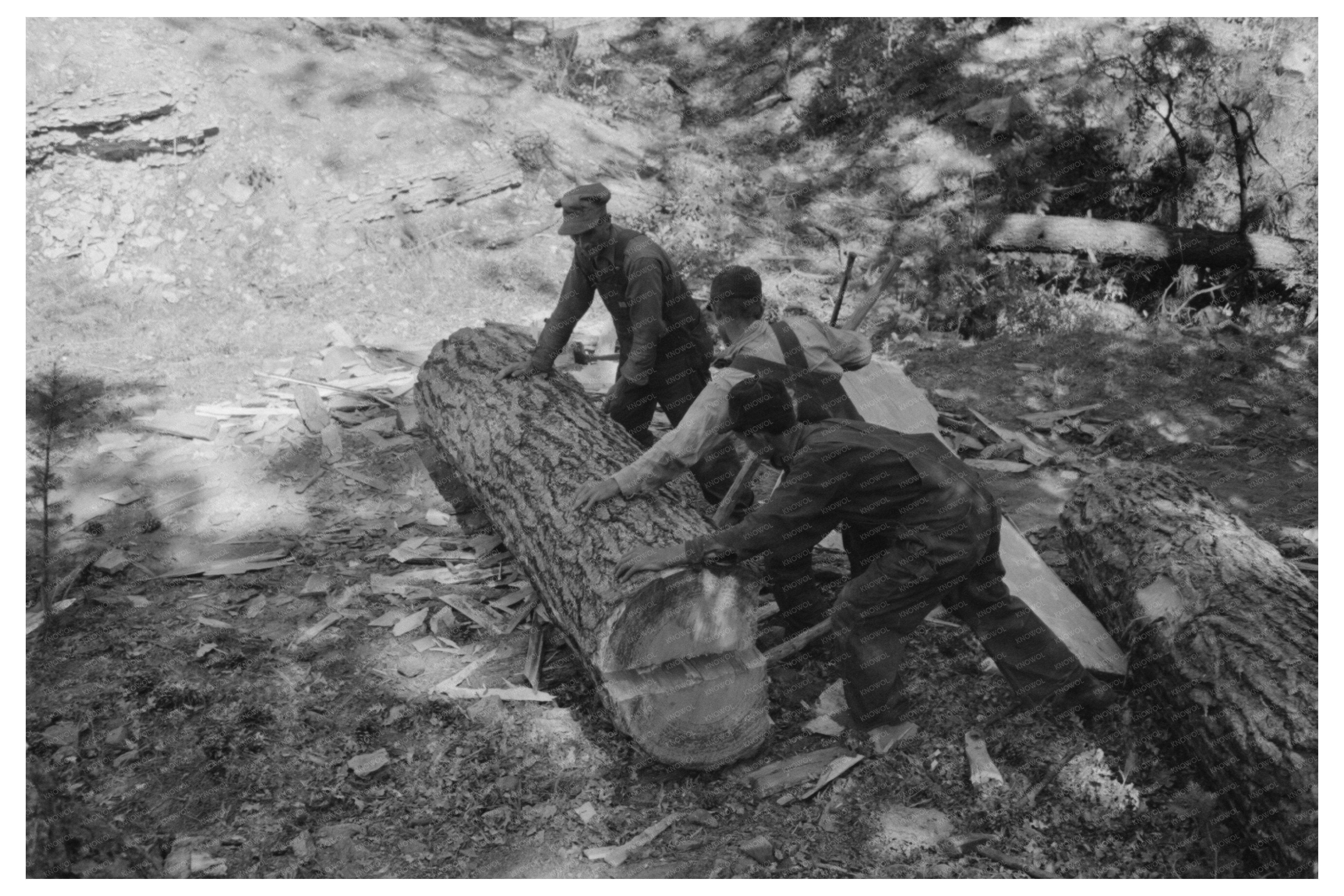 Felled Tree Logs for Railroad Ties in Pie Town 1940