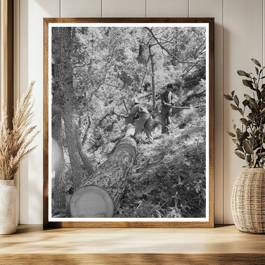 Felled Tree Logs for Railroad Ties Pie Town New Mexico 1940