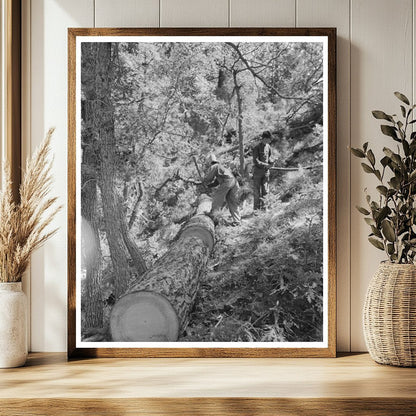 Felled Tree Logs for Railroad Ties Pie Town New Mexico 1940