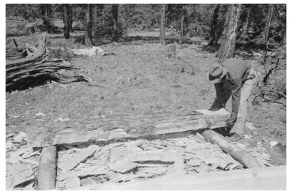 Worker Preparing Log for Hewing in Pie Town 1940