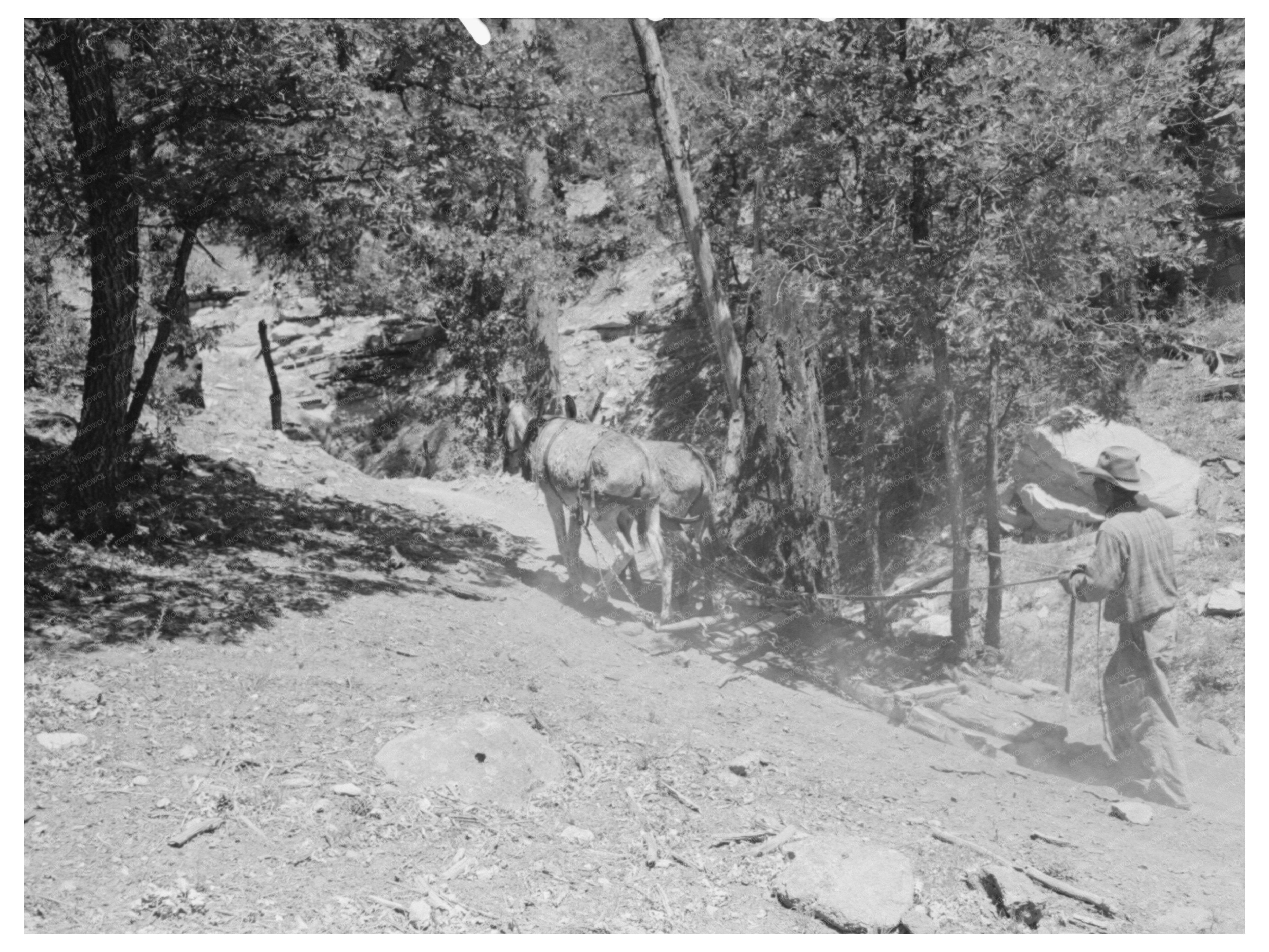 Logs Being Hewn into Ties in Pie Town New Mexico 1940