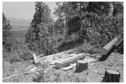 Logs Hewn into Railroad Ties in Pie Town New Mexico 1940