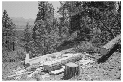 Hewing Logs into Railroad Ties in Pie Town 1940