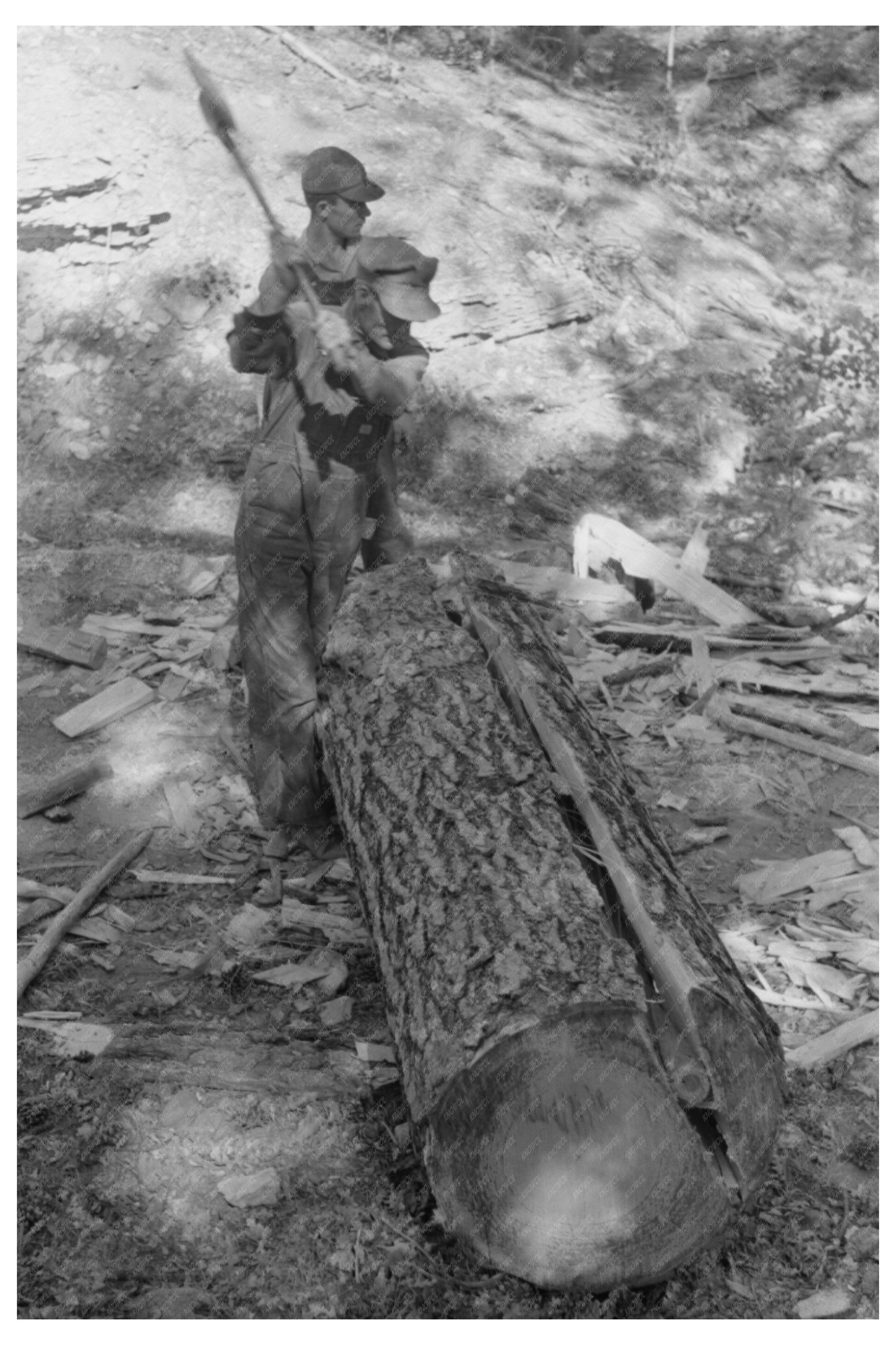 Tie Cutter Hewing Pine Log in Pie Town New Mexico 1940