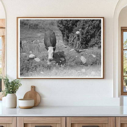 Child Tending Cows by Irrigation Ditch Penasco 1940