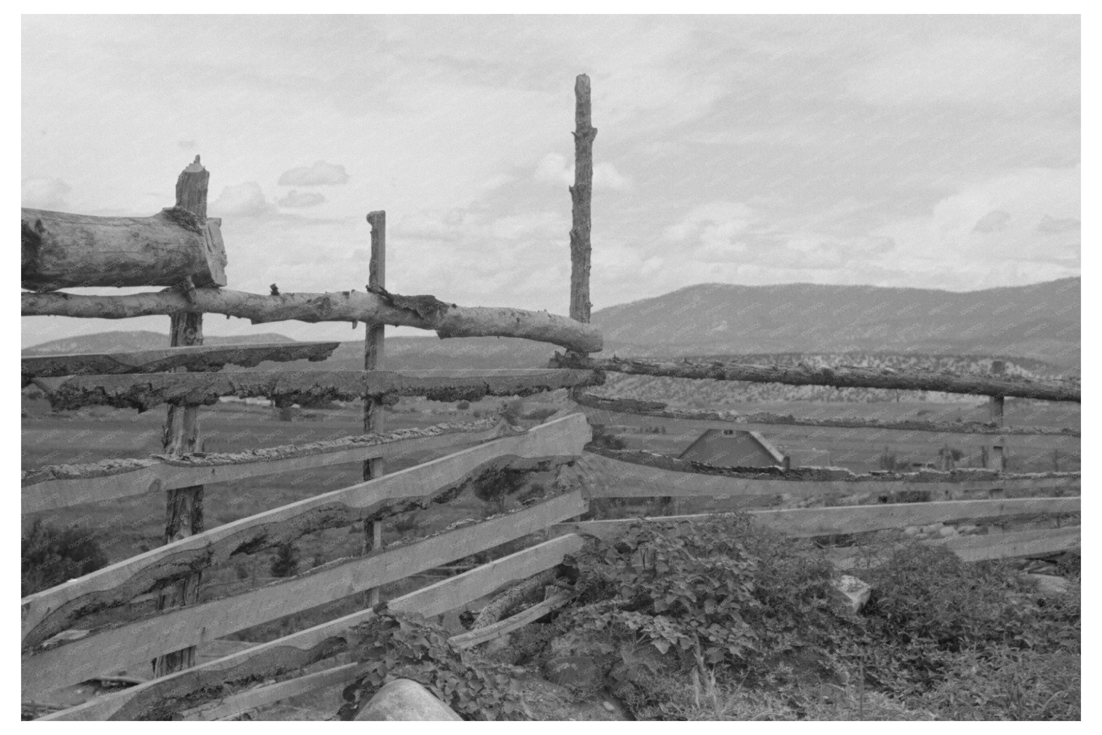 Spanish-American Farmers Building Stone Fences 1940