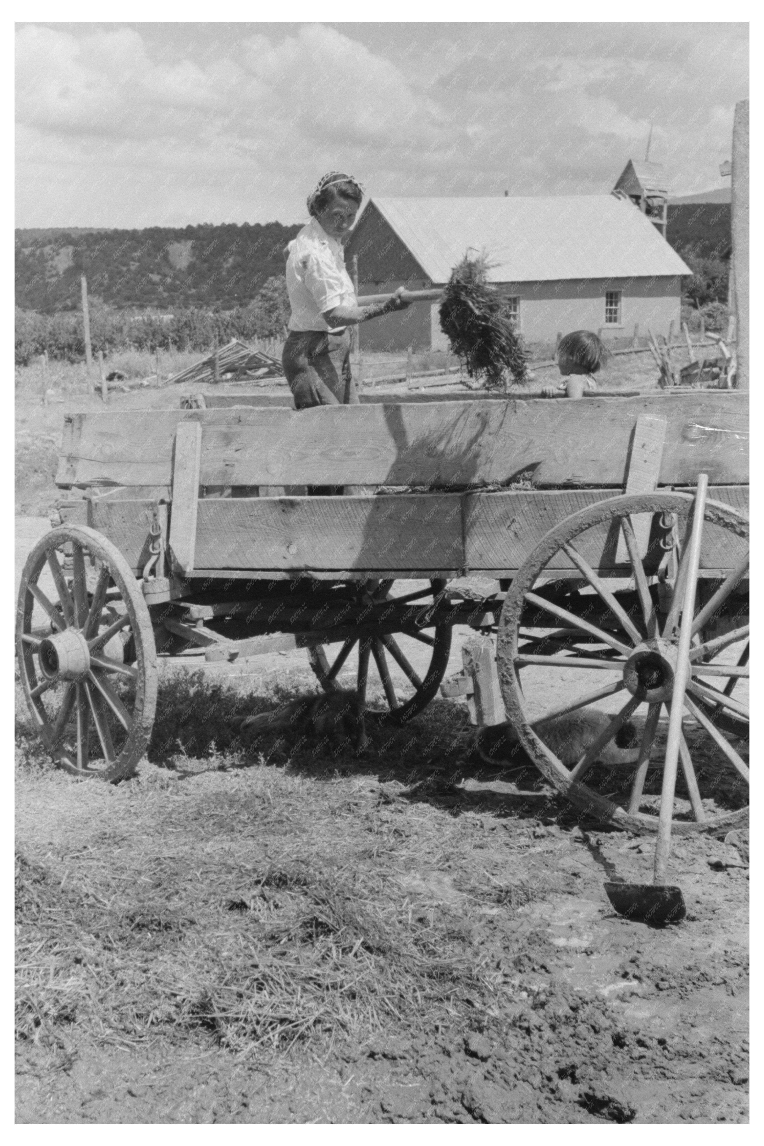 Spanish-American Woman Pitching Straw Chamisal NM 1940