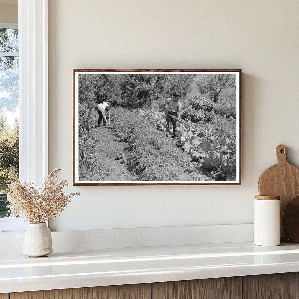 Spanish-American Farmer in Garden Chamisal New Mexico 1940