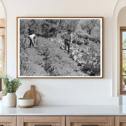 Spanish-American Farmer in Garden Chamisal New Mexico 1940