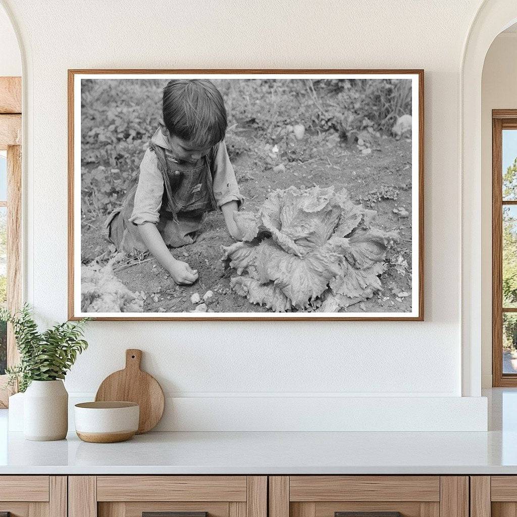 Spanish-American Boy Weeding Garden Chamisal 1940