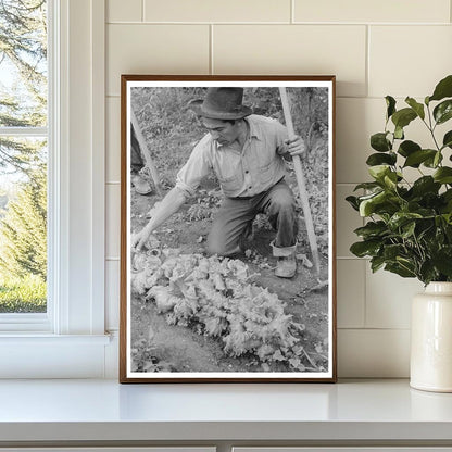 Spanish-American Farmer Gardening in Chamisal 1940