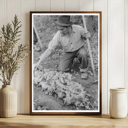 Spanish-American Farmer Gardening in Chamisal 1940