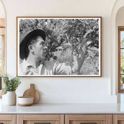 Spanish-American Farmer Gardening in Chamisal New Mexico 1940