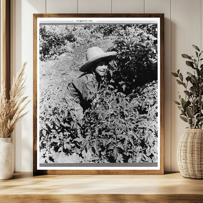 Spanish-American Boy in Tomato Plants Chamisal 1940