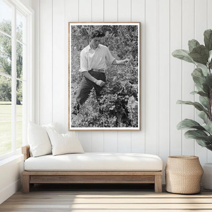 Spanish-American Farmer and Nephew in Chamisal 1944