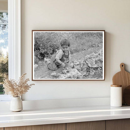 Spanish-American Boy Weeding Garden Chamisal New Mexico 1940