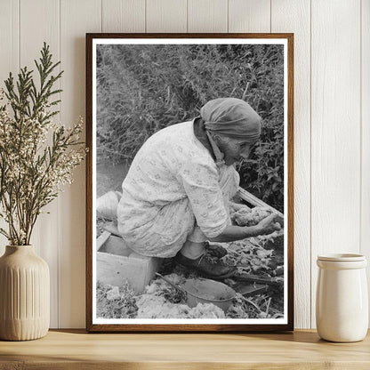 Elderly Woman Washing Wool Chamisal New Mexico 1940