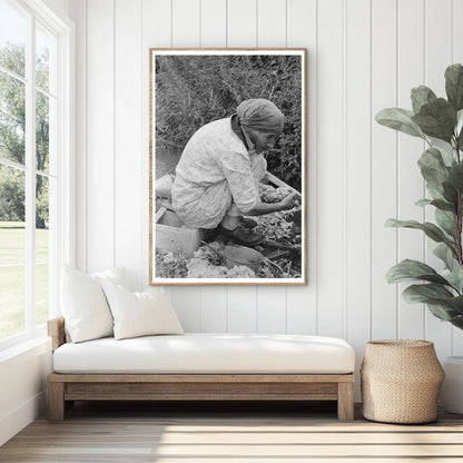 Elderly Woman Washing Wool Chamisal New Mexico 1940