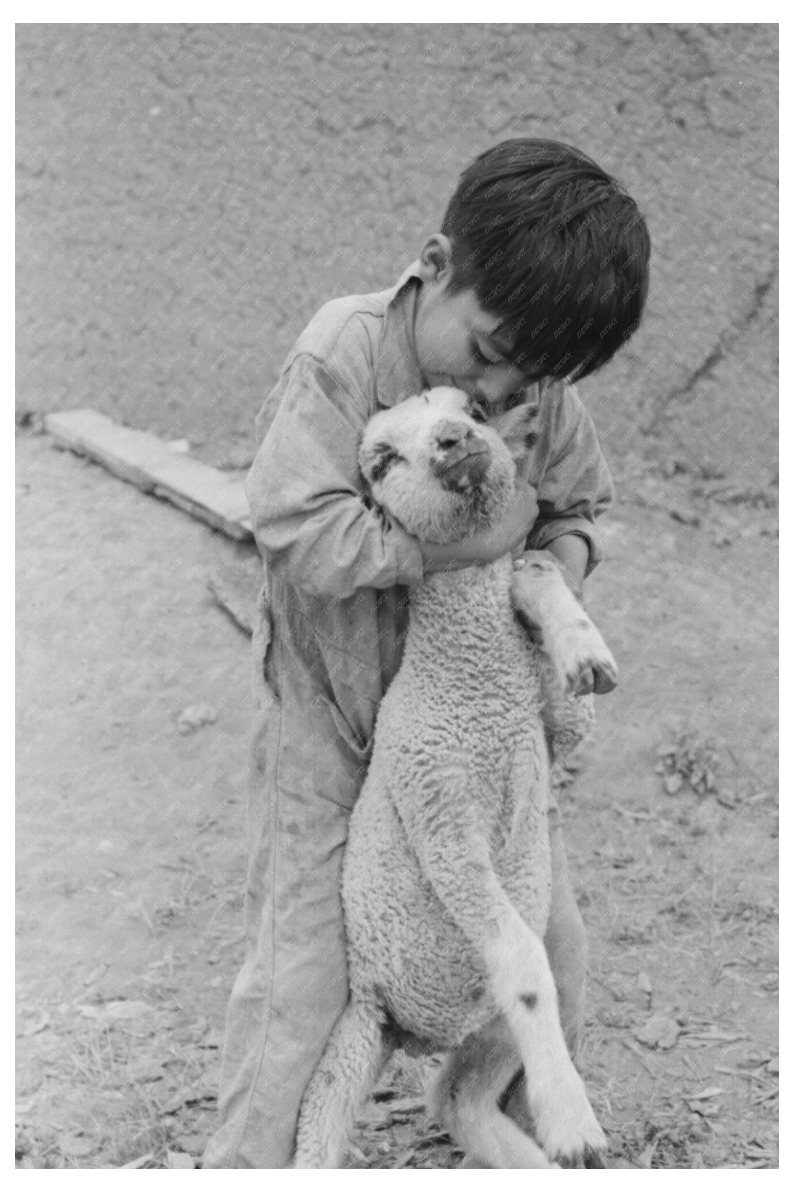 Spanish-American Boy with Lamb Amalia New Mexico 1940