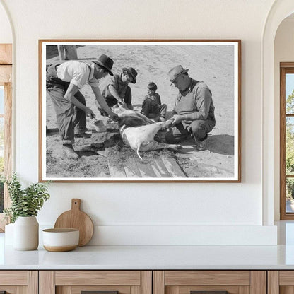 Spanish-American Farmer Scraping Hog Hair Chamisal 1940