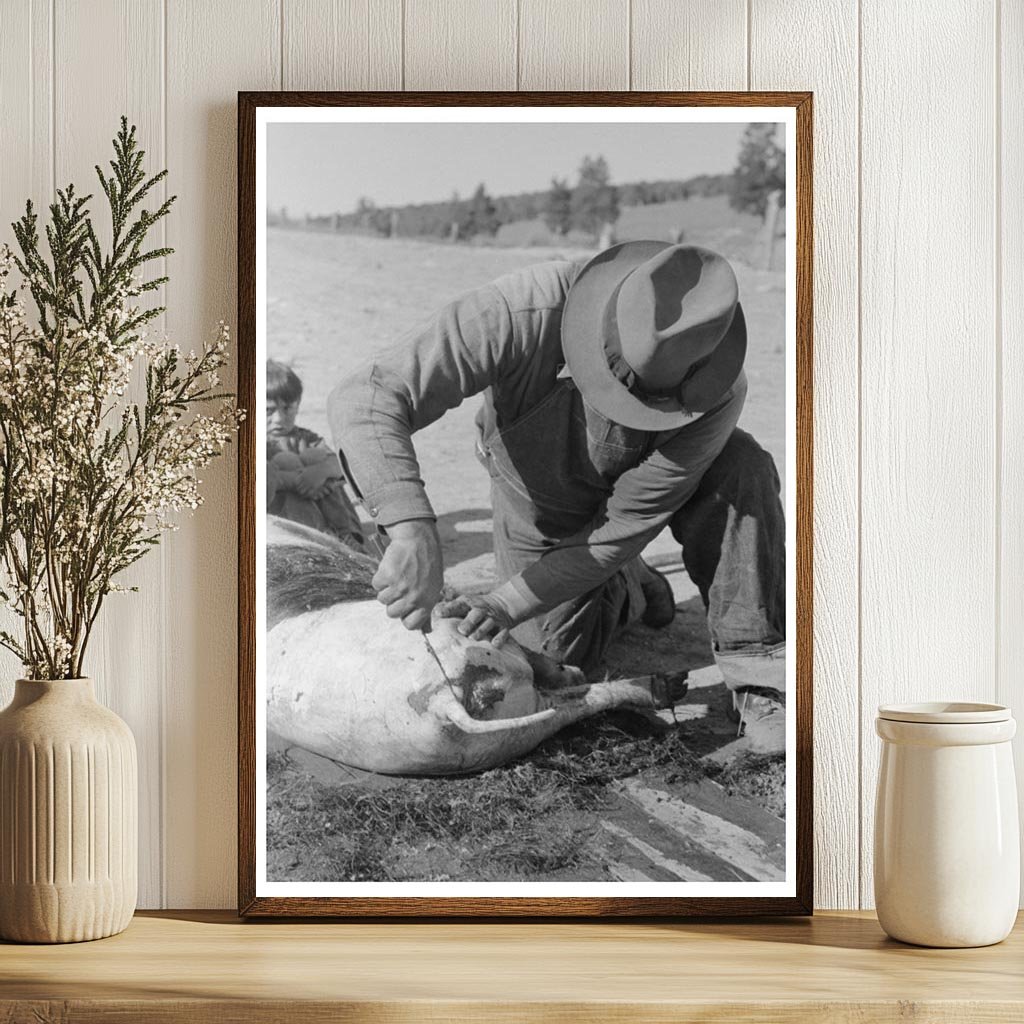 Spanish-American Farmer Scraping Hog Hair July 1940