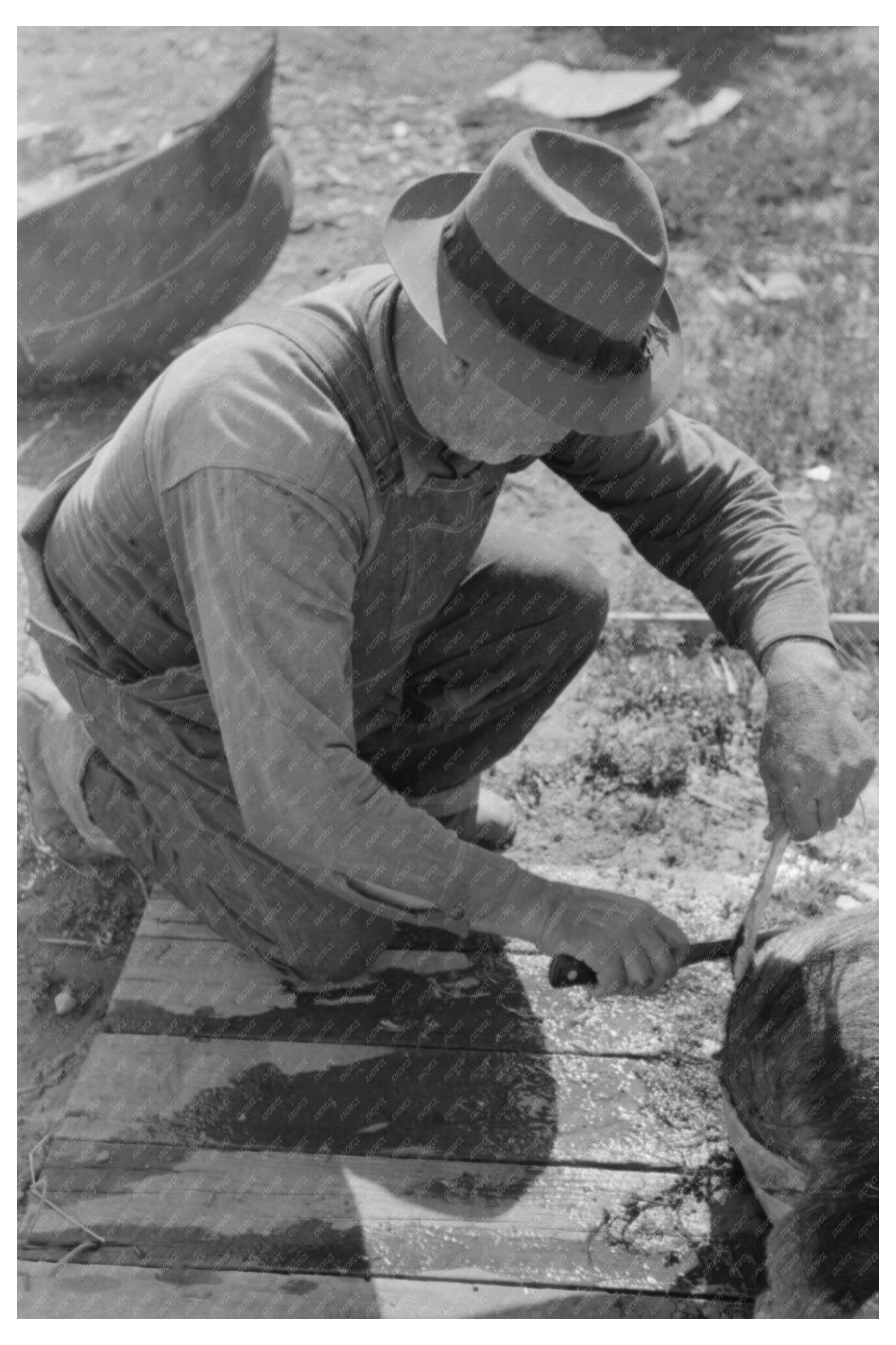 Spanish-American Farmer Scraping Hog Hair New Mexico 1940