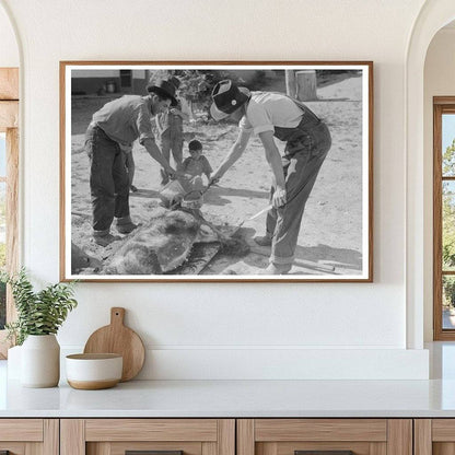 Spanish-American Farmers Peeling Hog Fat July 1940