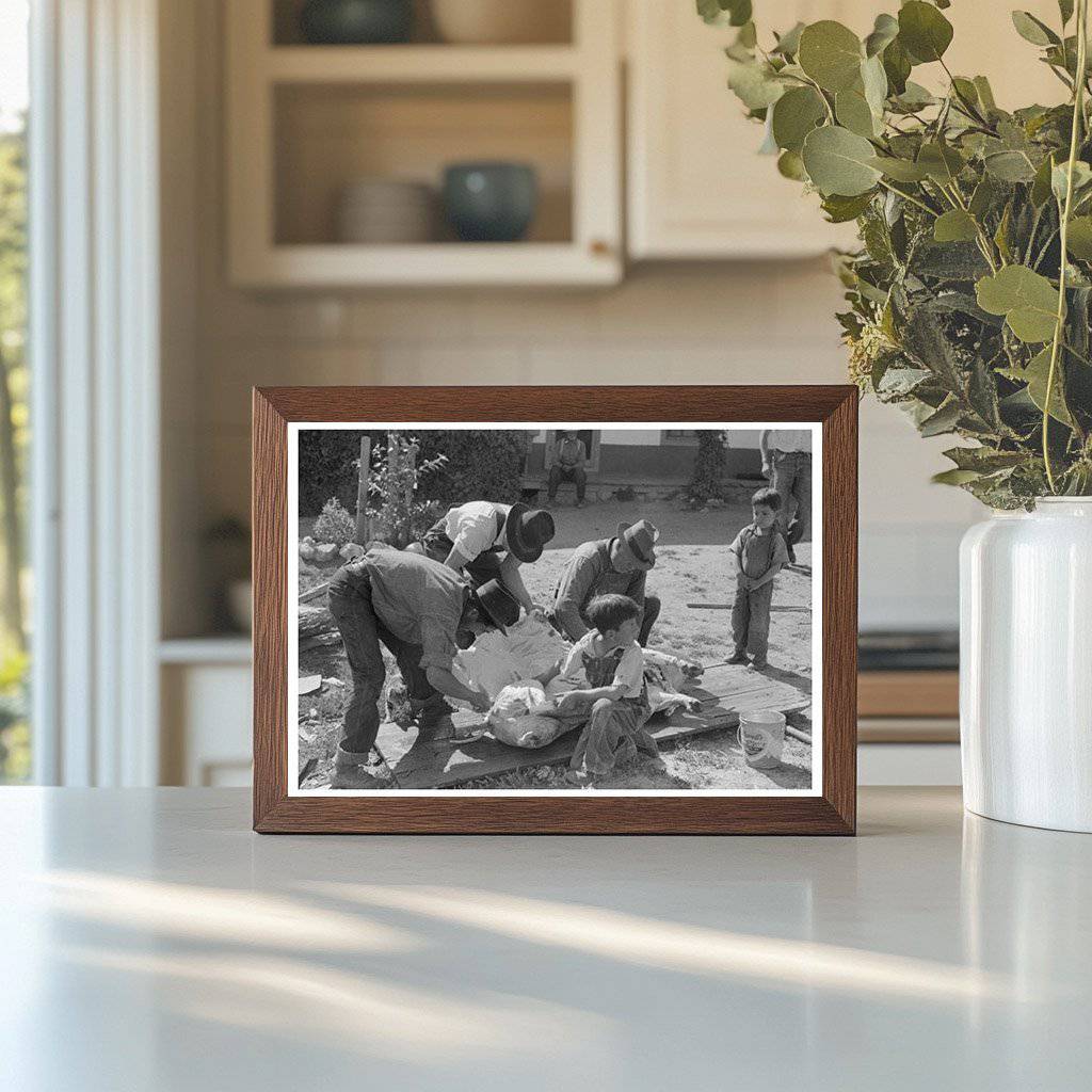 Spanish-American Farmers Peeling Hog Fat Chamisal 1940