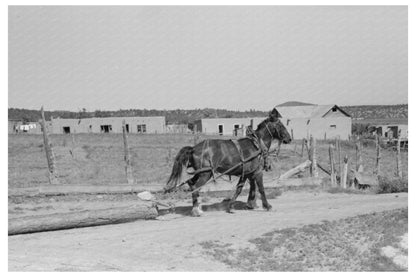 Logging in Chamisal New Mexico July 1940