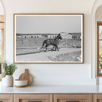 Logging in Chamisal New Mexico July 1940