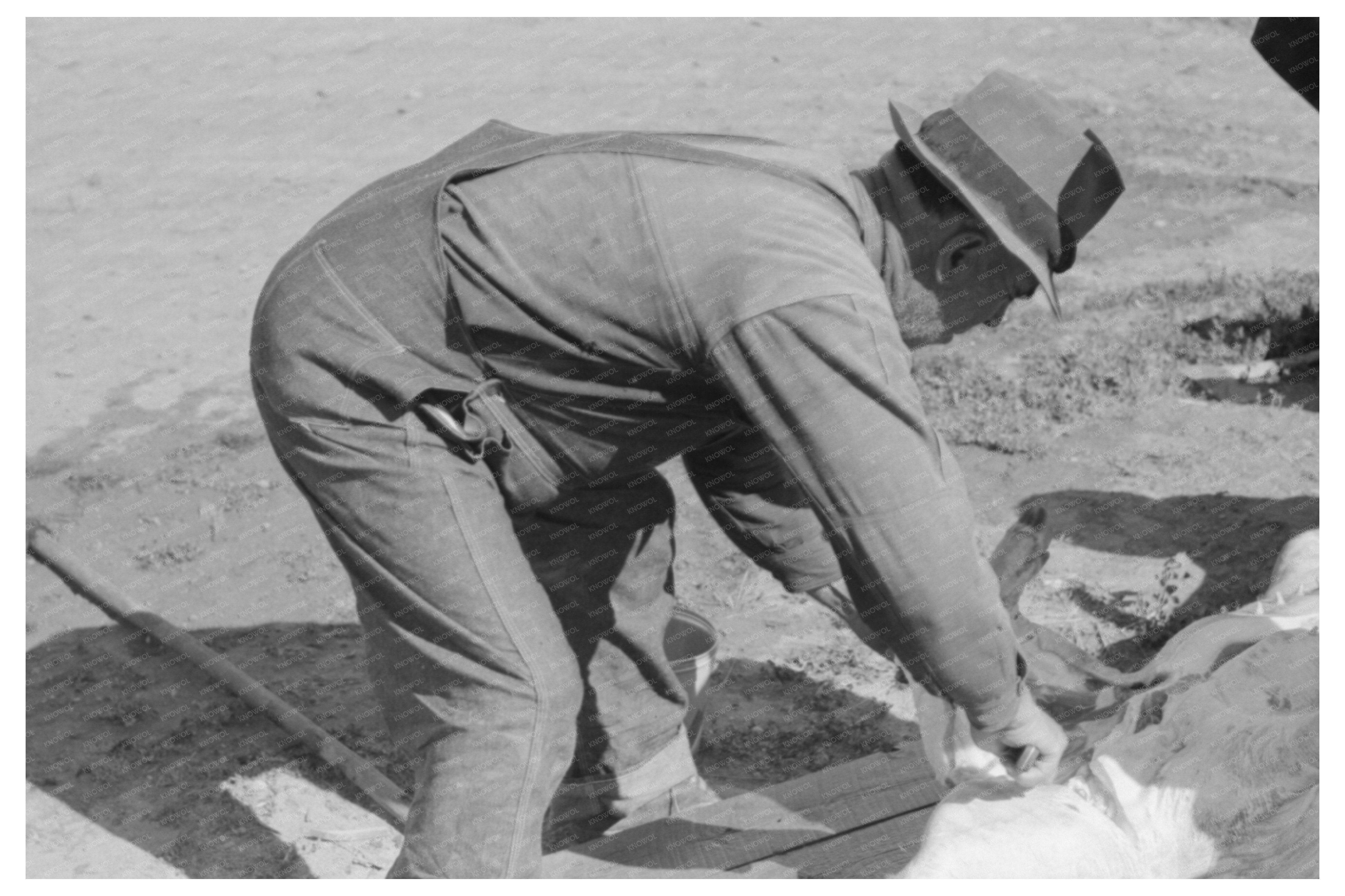 Spanish-American Farmers Slaughtering Hog Chamisal 1940