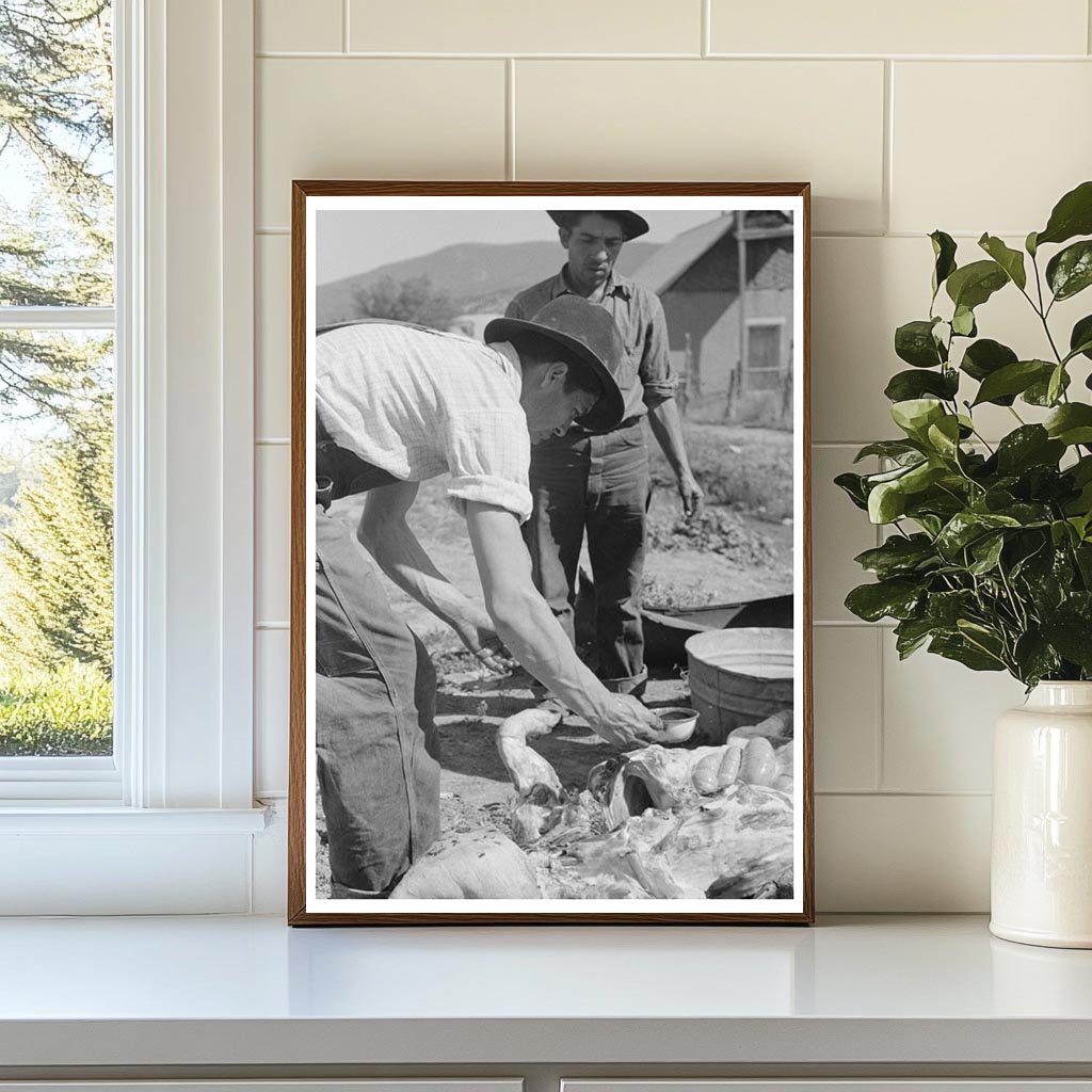 Spanish-American Farmer Extracting Blood from Hog 1940