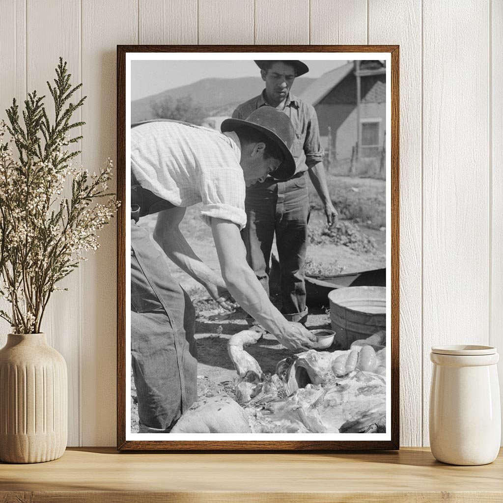 Spanish-American Farmer Extracting Blood from Hog 1940