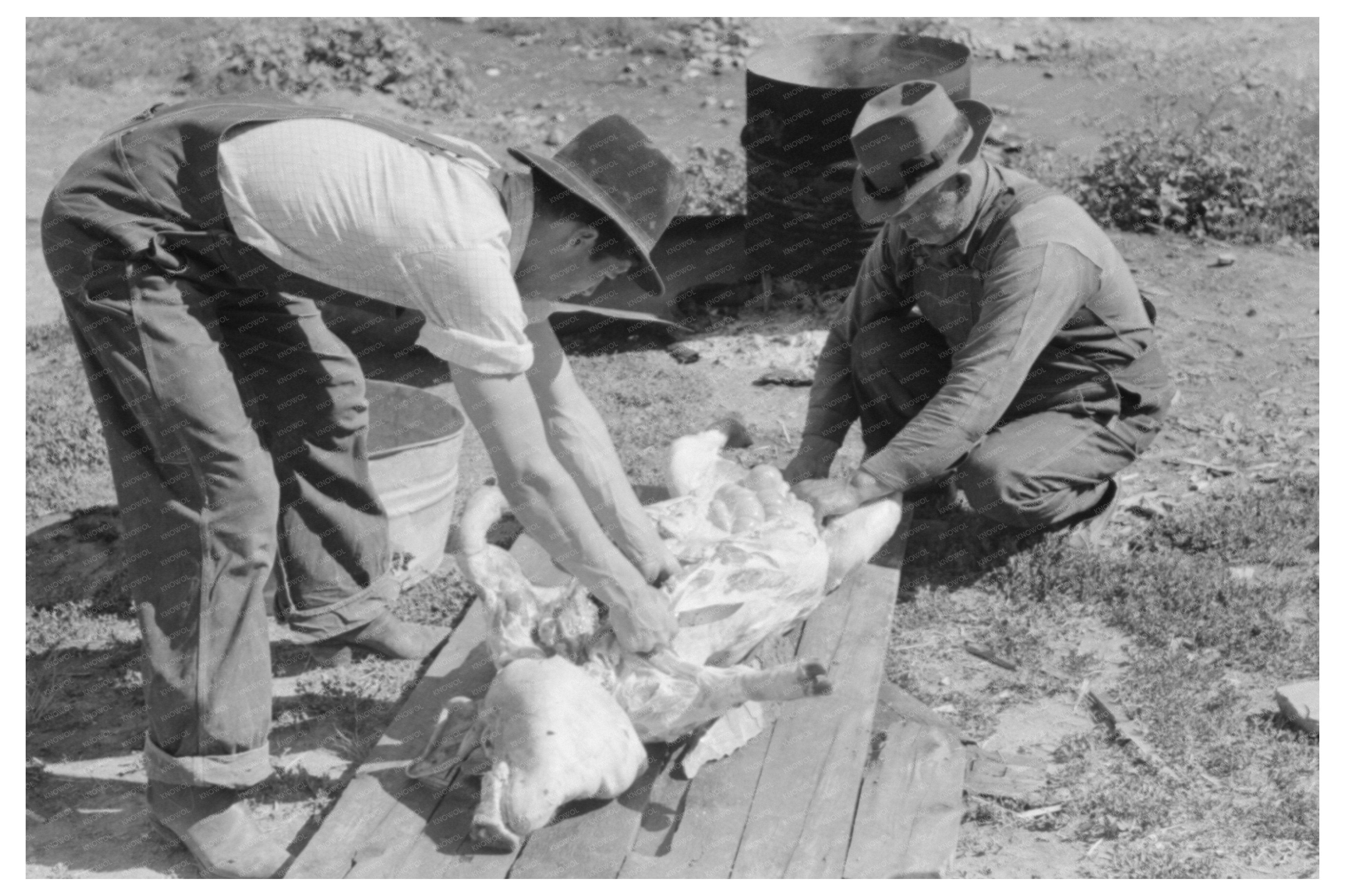 Spanish-American Farmers Processing Hog Chamisal 1940