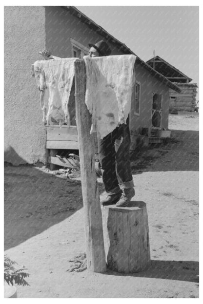 Spanish-American Farmer Rendering Lard Chamisal 1940