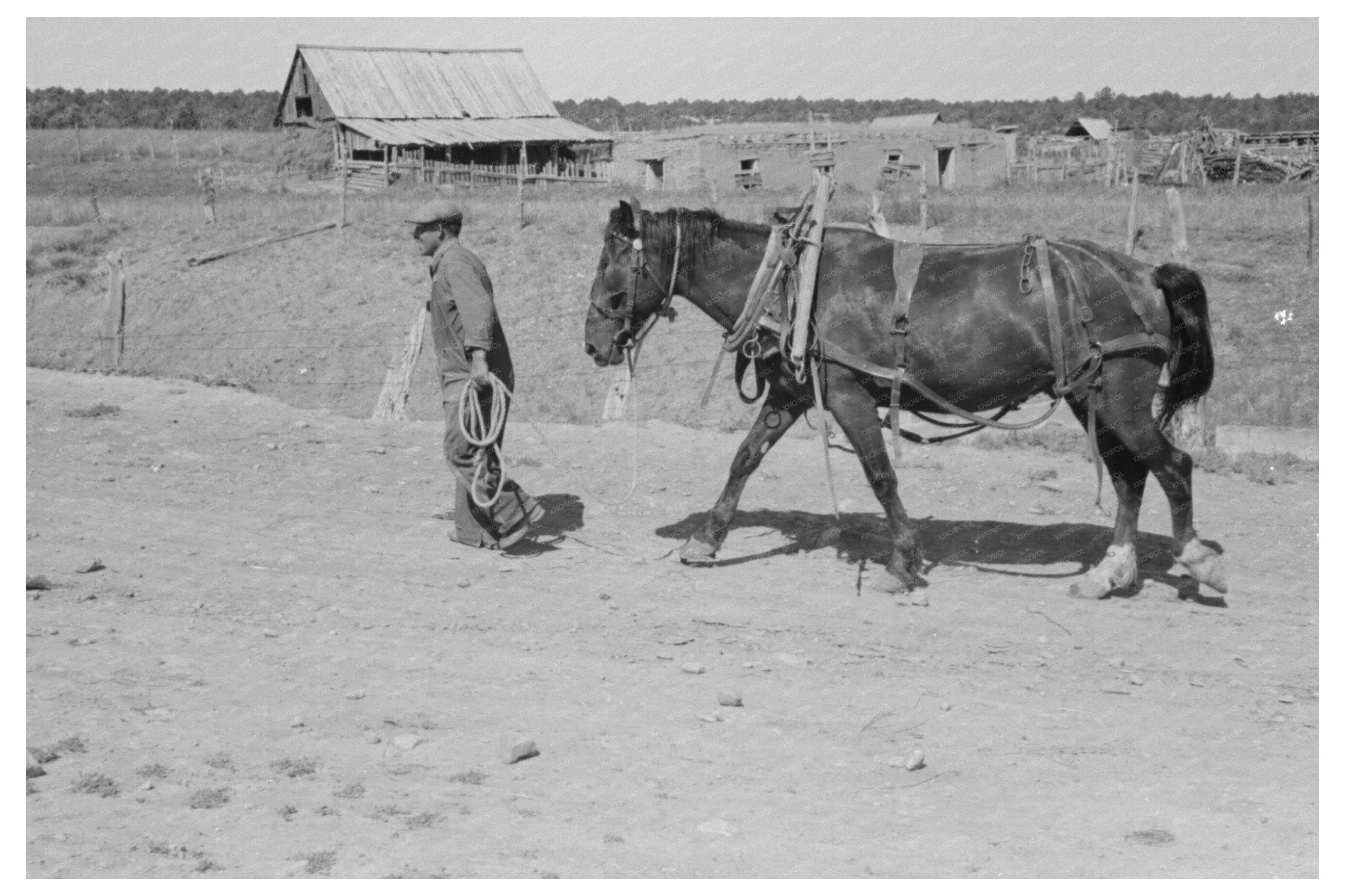 Spanish-American Individual with Horse Chamisal New Mexico 1940