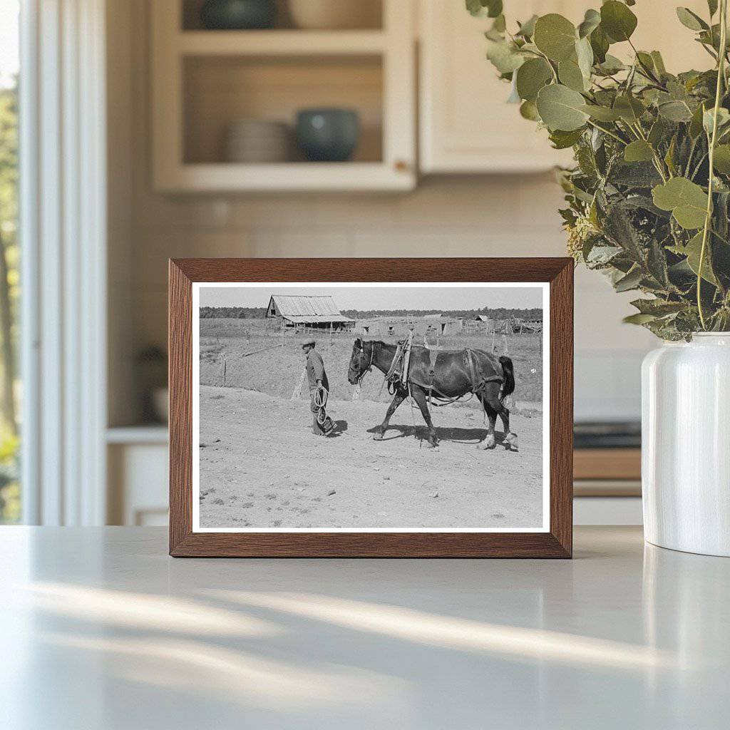 Spanish-American Individual with Horse Chamisal New Mexico 1940