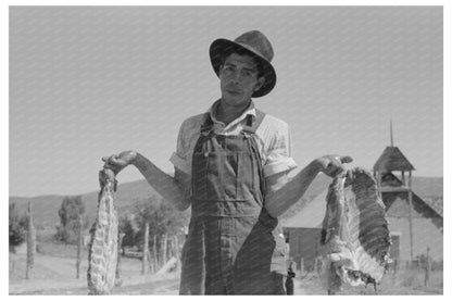 Spanish-American Farmer with Fresh Pork Chamisal NM 1940